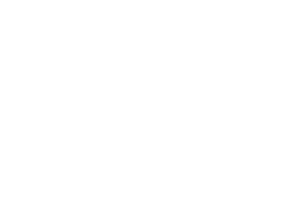 Venzo Veneer